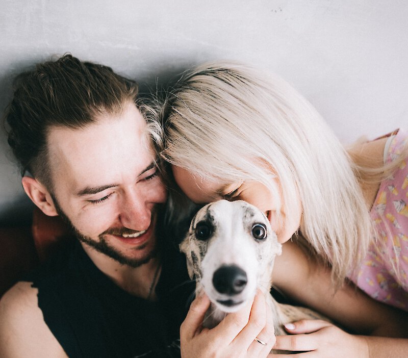 Couple smiling while holding a dog
