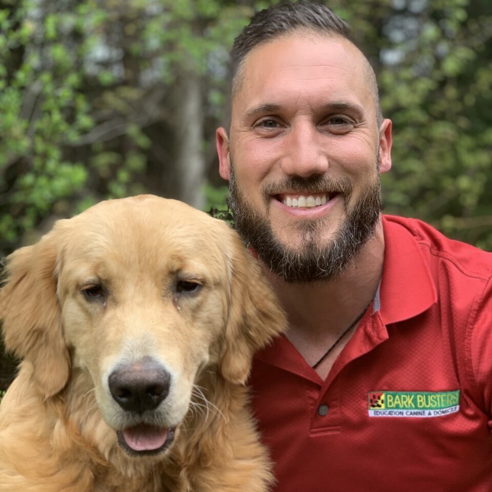 Alexandre Messier - Dog trainer and behaviour therapist - Bark Busters