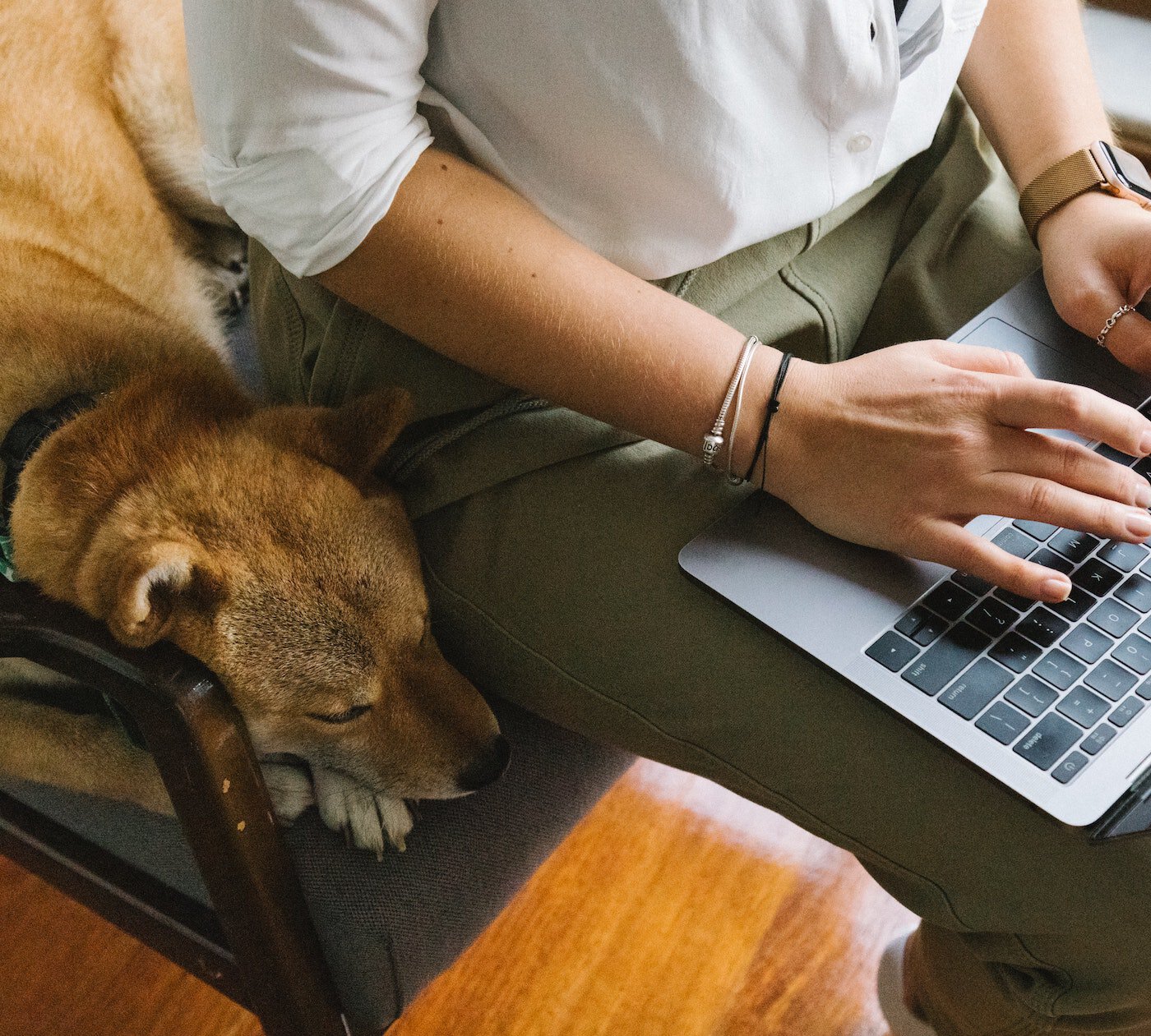 Woman on her computer while sharing her chair with her dog