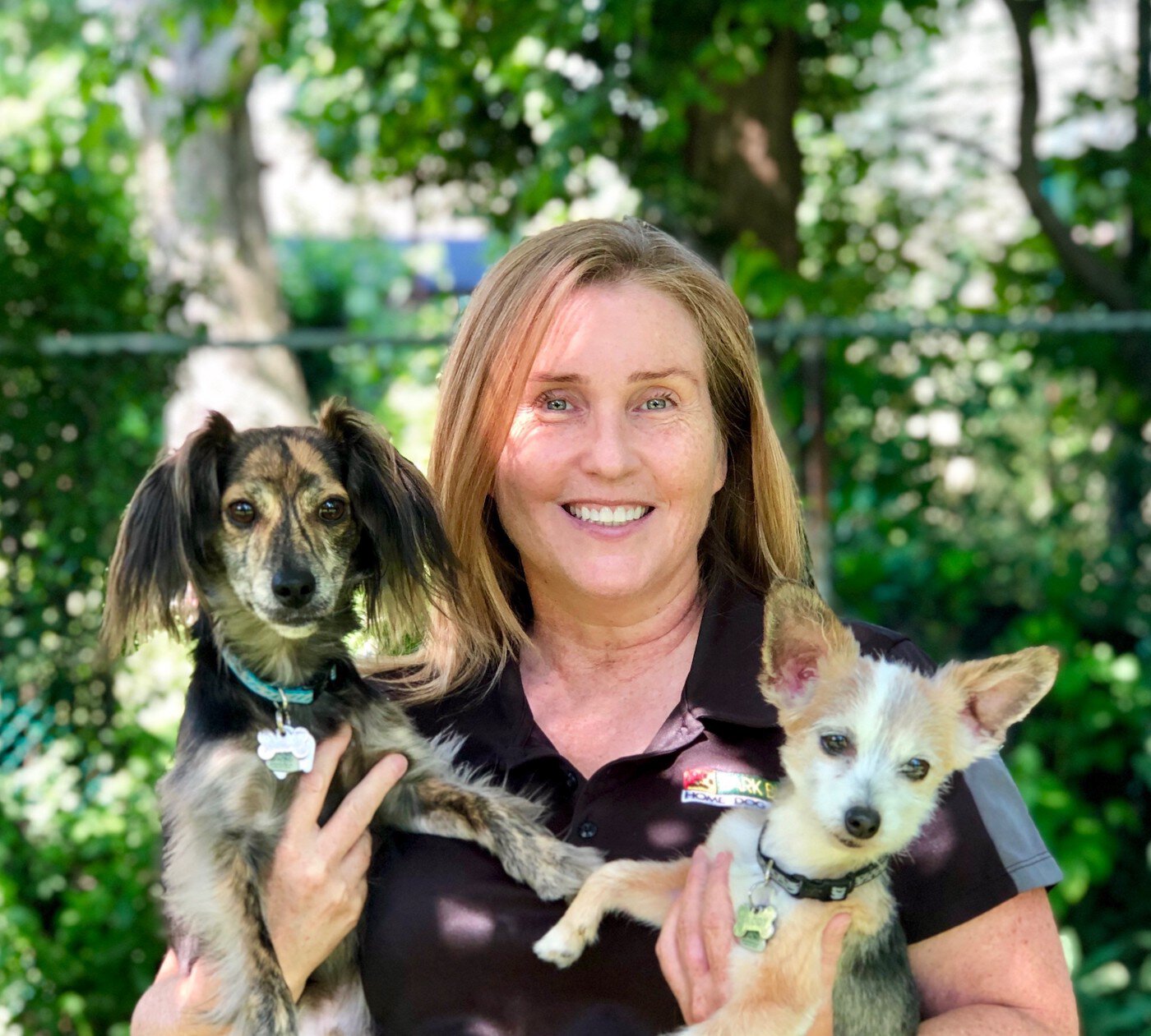 Bark Busters dog trainer smiling with 2 dogs