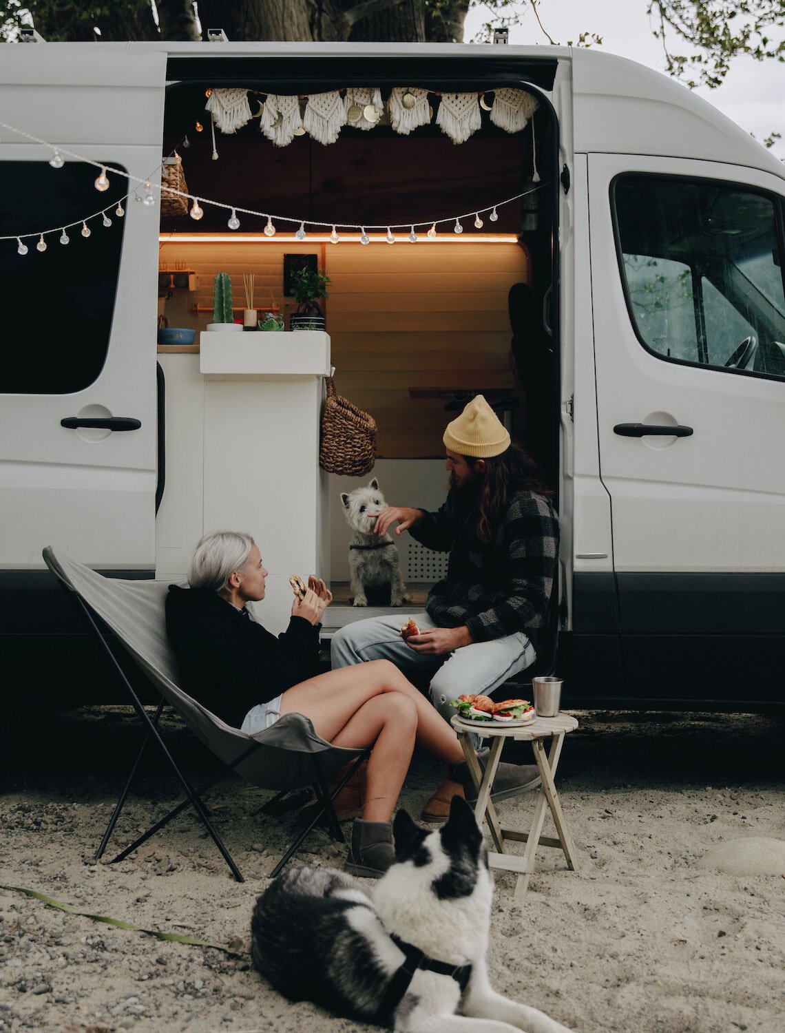 Couple with two dogs in camper van