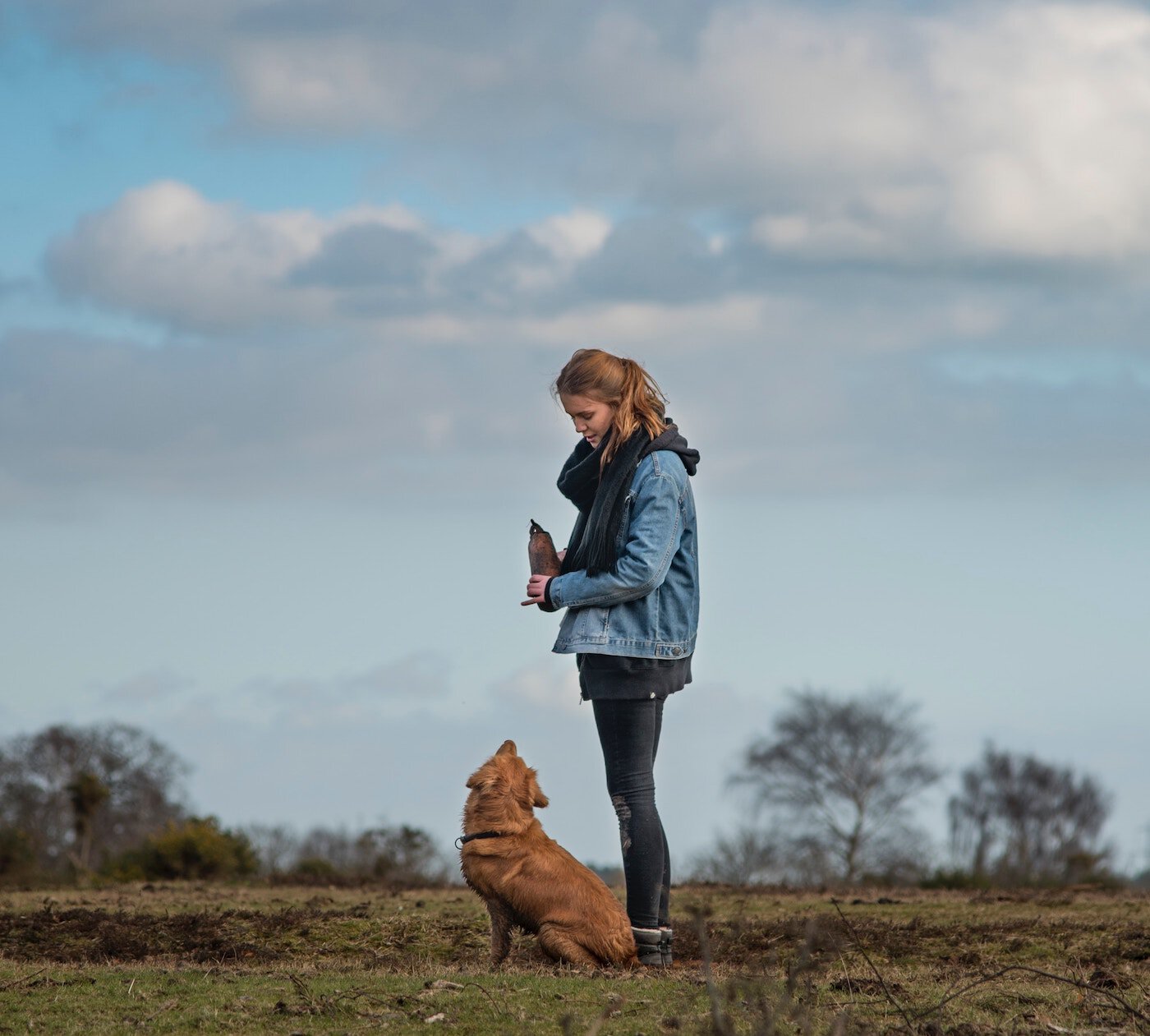 Owner & dog in a field looking at each other