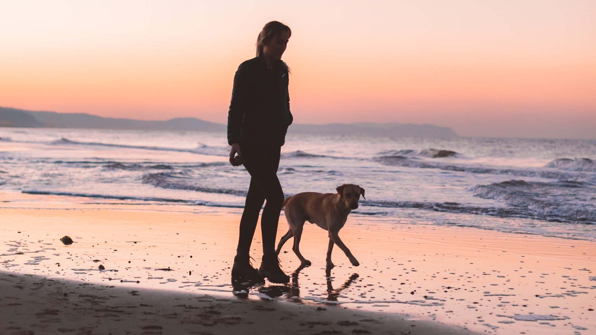 Owner & dog walking on a beach at sunset