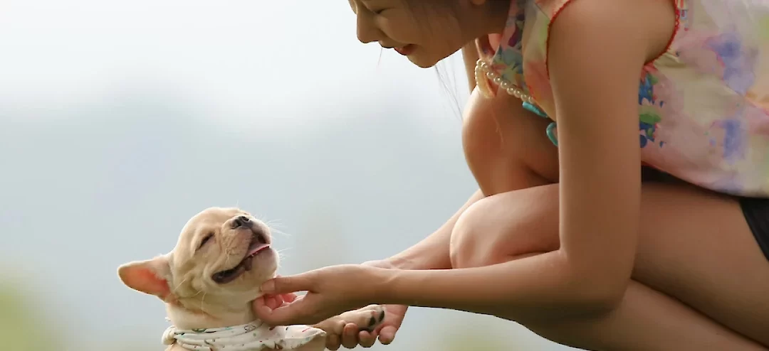 The Best Ways to Show Affection to your Dog