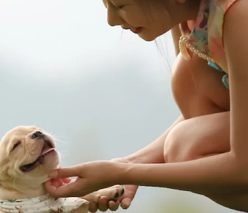 The Best Ways to Show Affection to your Dog
