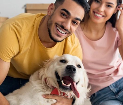 Helping your Dog Adjust When Relocating to a New Home