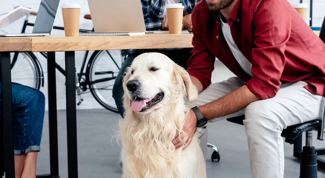 Bringing Your Dog to the Dog-Friendly Workplace