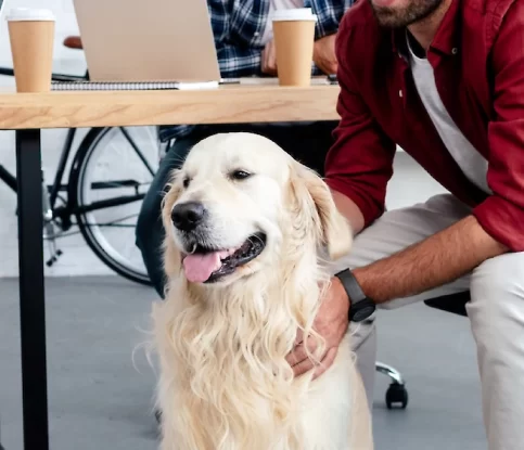 Bringing Your Dog to the Dog-Friendly Workplace