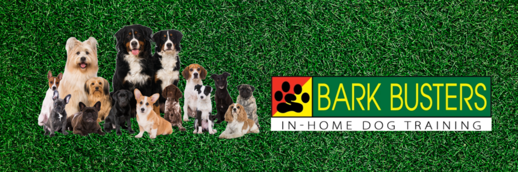 Bark busters in home dog training hotsell